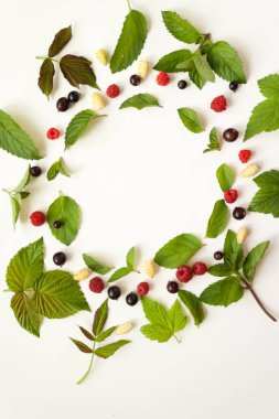 Taze nane yaprakları ve Kırmızı Ahududu ve siyah kompozisyonu