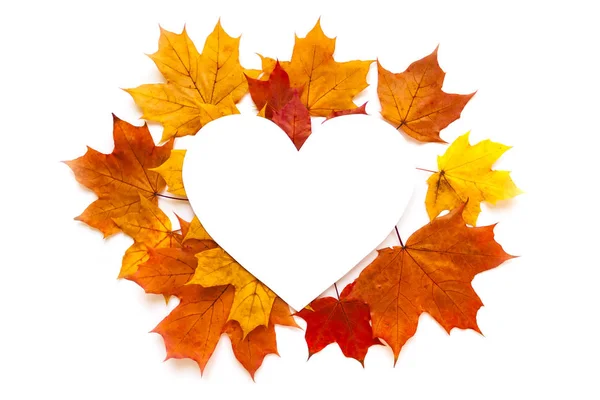 Осенняя рамка с листьями на белом фоне — стоковое фото