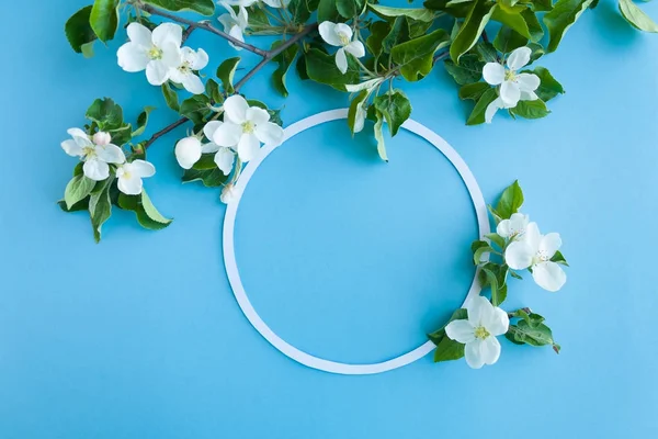 Cornice rotonda con mela in fiore su sfondo blu — Foto Stock