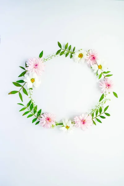 Telaio rotondo di camomille, rami, foglie e petali lilla su sfondo bianco. Posa piatta, vista dall'alto — Foto Stock
