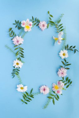 Chamomiles, dalları, yaprakları ve Lila yaprakları mavi zemin üzerine çerçeve. Düz yatıyordu, en iyi görünümü