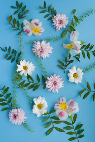 Cornice di camomille, rami, foglie e petali lilla su fondo blu. Posa piatta, vista dall'alto — Foto Stock