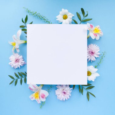 Chamomiles, dalları, yaprakları ve Lila yaprakları mavi zemin üzerine çerçeve. Düz yatıyordu, en iyi görünümü