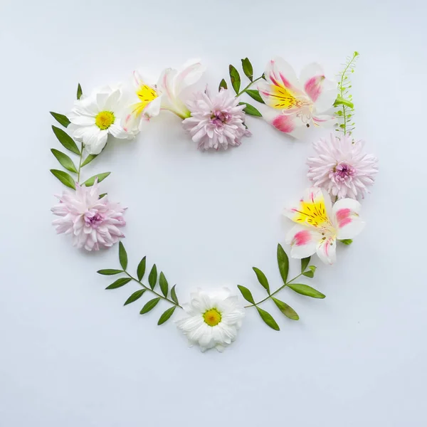 Frame of chamomiles, branches, leaves and lilac petals on white background. Flat lay, top view — Stock Photo, Image