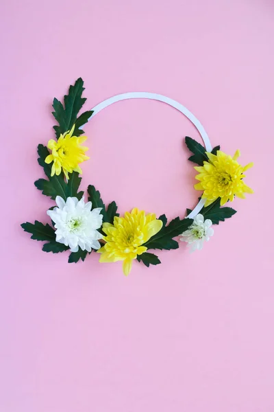 Quadro redondo. crisântemos brancos e amarelos sobre um fundo rosa pálido — Fotografia de Stock