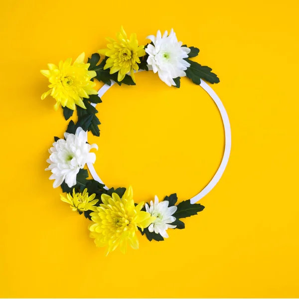 Cadre rond. chrysanthèmes blancs et jaunes sur fond jaune — Photo