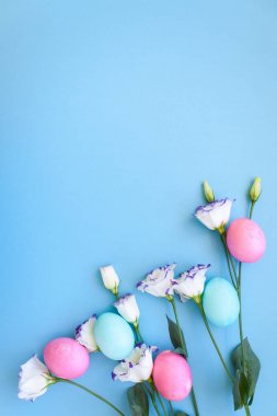 Paskalya yumurtaları ve bahar çiçekleri narcissi mavi zemin üzerine