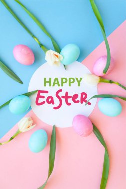 Paskalya yumurtaları ve bahar çiçekleri narcissi mavi zemin üzerine