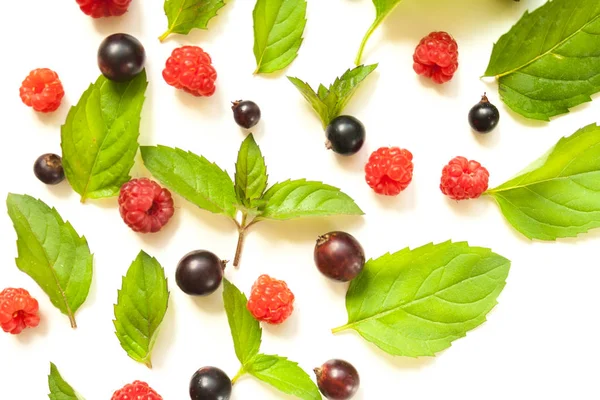 Ahududu ve nane ve blackcurrant arka plan gibi trendy desenle