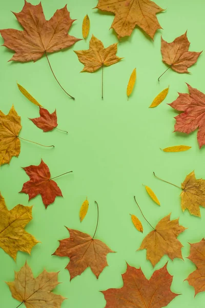 Autumn frame with leaves on green background