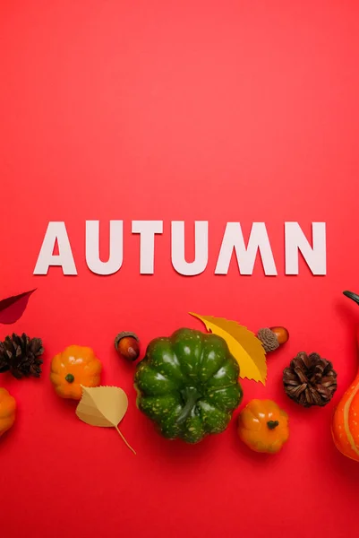 Den díkůvzdání. Písmeno podzim s podzimními prvky. Koncept Díkůvzdání, přání k pozdravu. — Stock fotografie