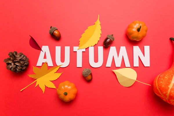 Día de Acción de Gracias. Letras de otoño con elementos de otoño. Concepto de acción de gracias, tarjeta de felicitación . — Foto de Stock
