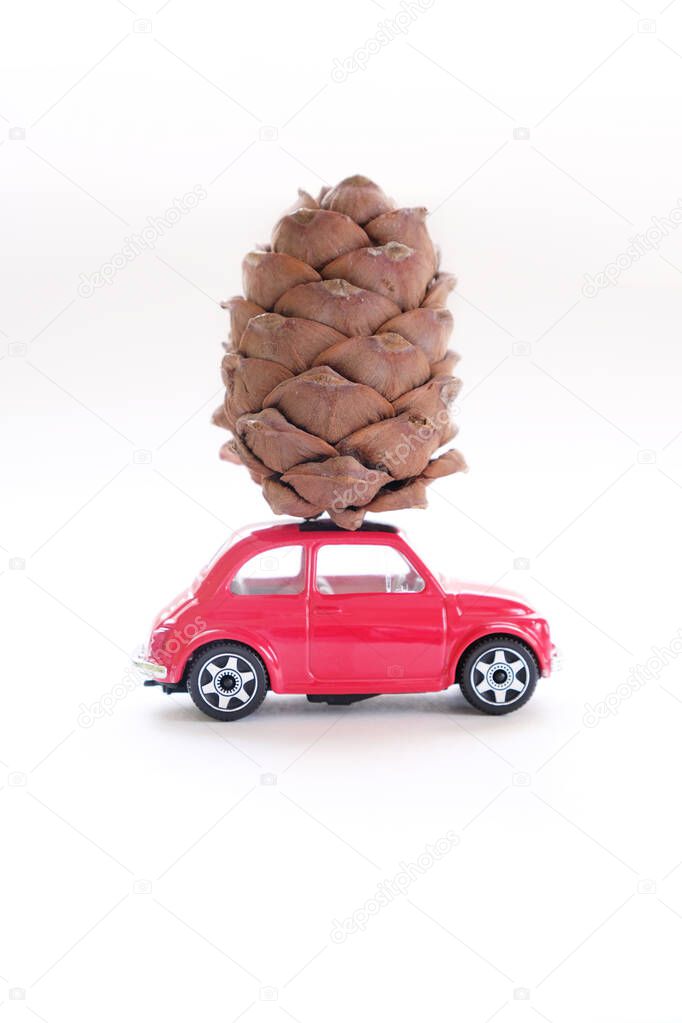 Red car carries pine cone on white background