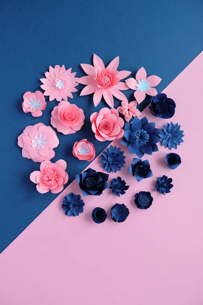 Blue paper flowers on blue background. Cut from paper.