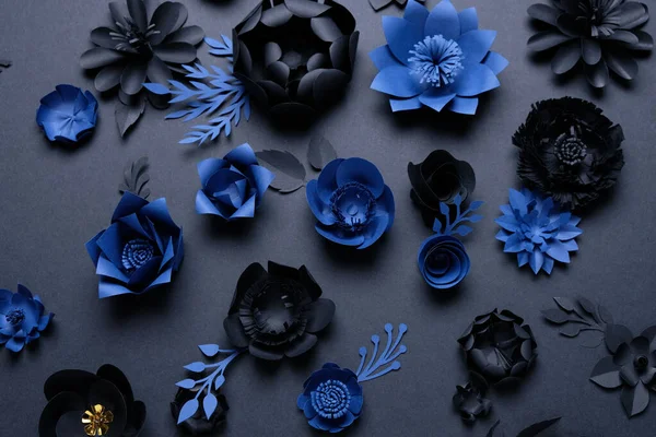 Fiori di carta nero e blu su sfondo nero. Tagliare dalla carta — Foto Stock