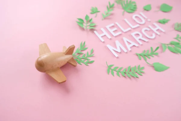 Små trä leksak flygplan tur med blomma — Stockfoto
