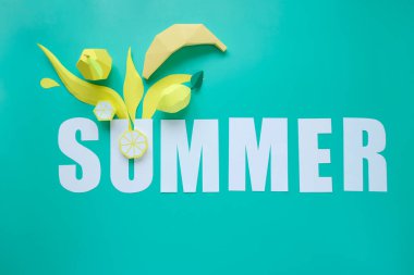 Different exotic fruits made of paper on trendy mint background