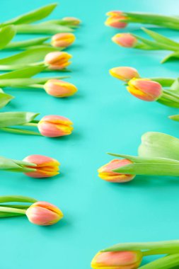 Nane arkaplanda taze sarı-kırmızı laleler. Tatil kavramı