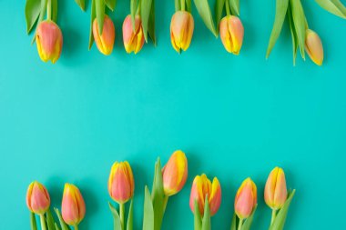 Nane arkaplanda taze sarı-kırmızı laleler. Tatil kavramı