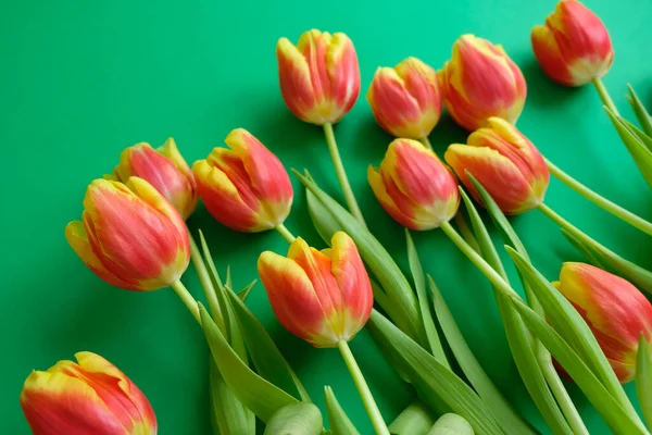 Hallo Frühling Mit Frischen Gelb Roten Tulpen Auf Dunkelgrünem Hintergrund — Stockfoto