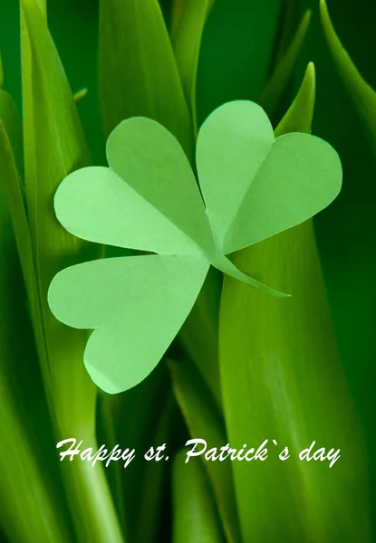 Patrick Day Concept Creative Layout Made Green Leaves Close Nature — Stock Photo, Image