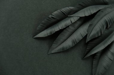 Siyah arka plan üzerine siyah kağıttan yapılmış bir kuşun tüyleri. Siyah siyah. Karanlık sanat