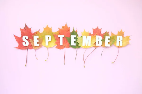 Belettering Hello September Met Herfst Bladeren Rood Oranje Geel Roze — Stockfoto
