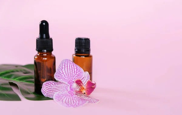Óleos Essenciais Garrafas Diferentes Fundo Rosa Conceito Aromaterapia Preservação Saúde — Fotografia de Stock