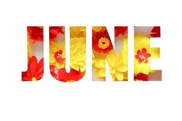 Lettering Junho Feito Flores Papel Olá June Conceito Floração Verão — Fotografia de Stock