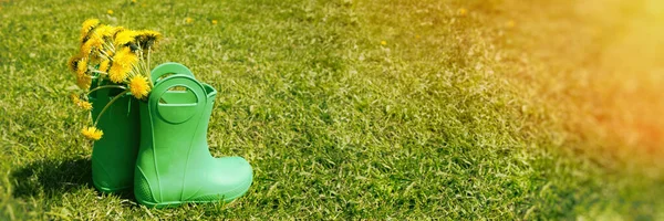 夏天的概念 绿色橡胶靴 黄色花朵在绿色草地上 网页的长格式 — 图库照片