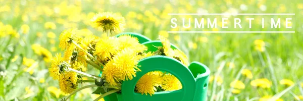Sommartid Koncept Gröna Gummistövlar Med Gula Blommor Grön Äng Långt — Stockfoto
