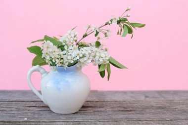 Pembe arka planda kiraz çiçekleri buket bahar çiçeği