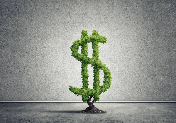 Albero verde a forma di dollaro — Foto Stock