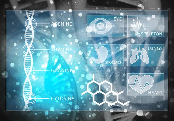 의학 사용자 인터페이스 — 스톡 사진