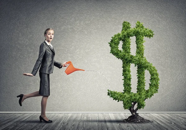 Attractive businesswoman watering plant — Stock Photo, Image