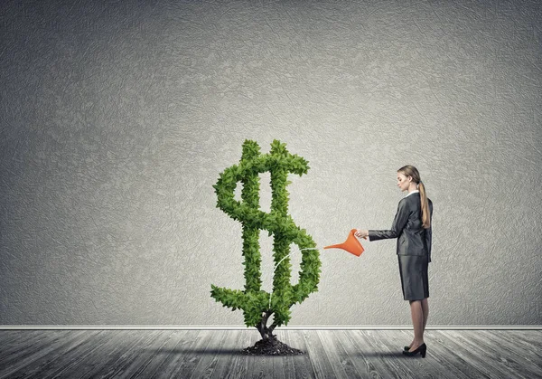 Attractive businesswoman watering plant — Stock Photo, Image