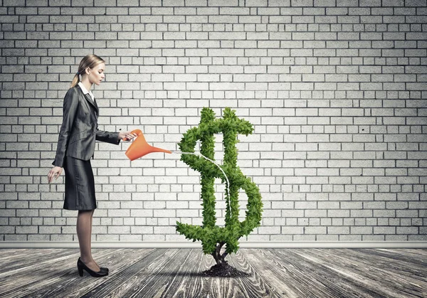 Attractive businesswoman watering plant — Stock Photo, Image