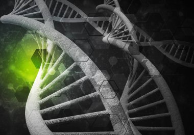 DNA molekülü araştırma kavramı