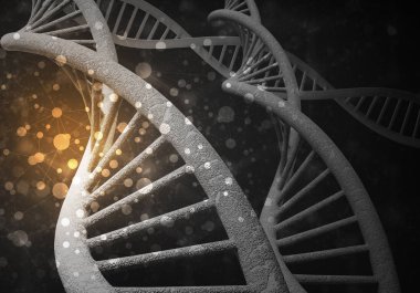DNA molekülü araştırma kavramı