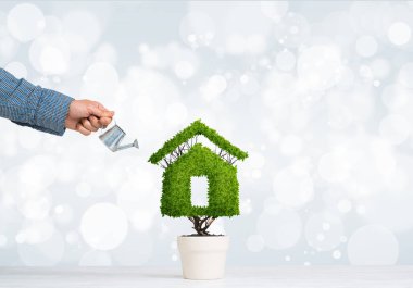 Ekoloji geri dönüşüm kavramı  