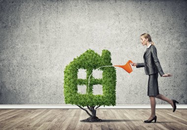 Kavramı, para kazanmak