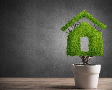 Ekoloji geri dönüşüm kavramı  