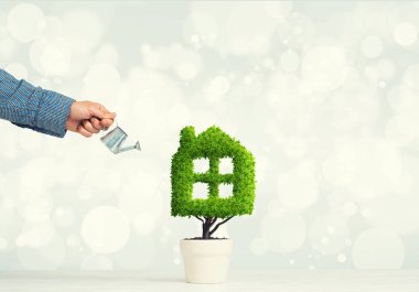Ekoloji geri dönüşüm kavramı  