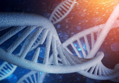 DNA molekülü araştırma kavramı