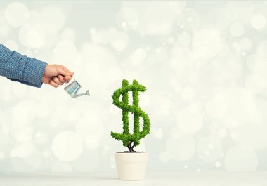 Yatırım gelir ve büyüme kavramı 