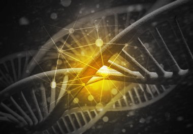 İlaç kullanıcı arayüzü