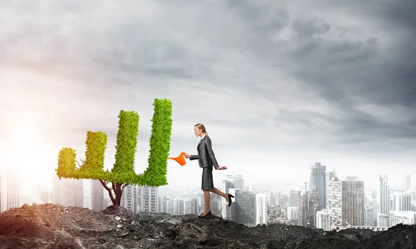 Businesswoman watering plant — Stock Photo, Image