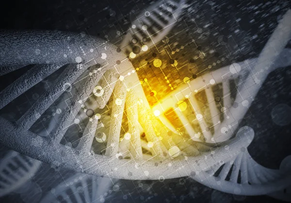 ADN molecule fundal — Fotografie, imagine de stoc