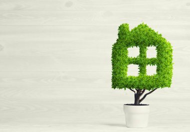 Ekoloji geri dönüşüm kavramı  