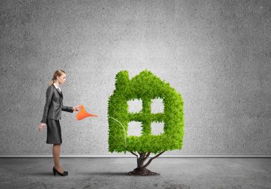 İşkadını sulama tesisi 